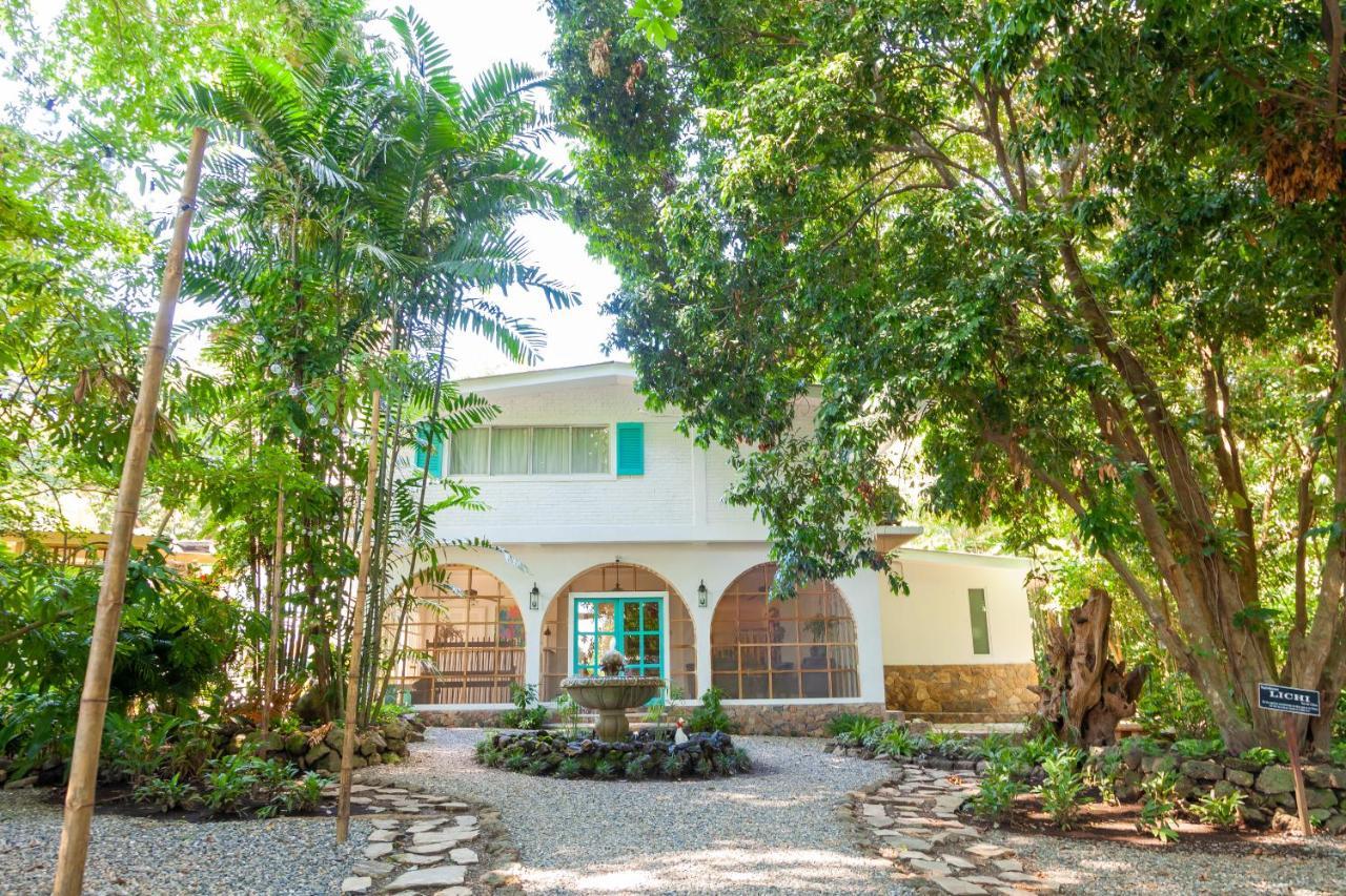 Angeli Gardens Boutique Hotel San Pedro Sula Exterior photo